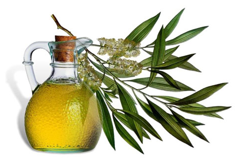 Tea tree oil