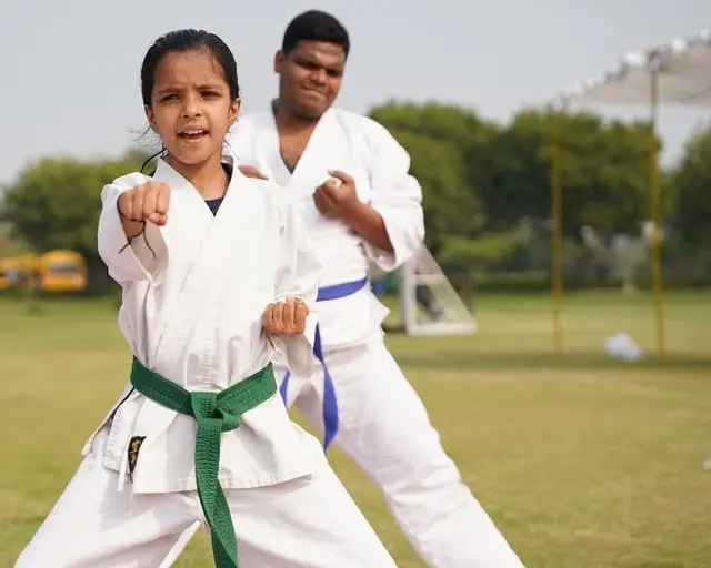 taekwondo lessons for beginners